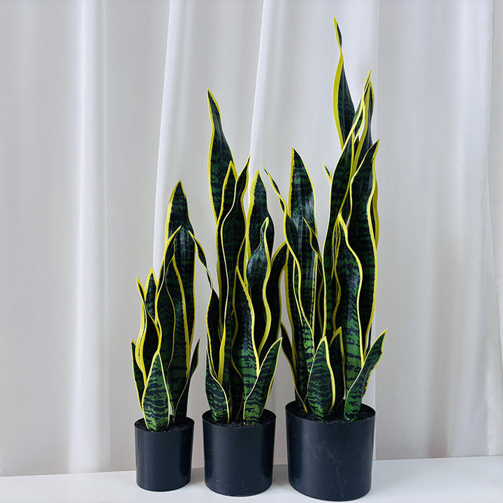 Kunstpflanze Sansevieria, 50 cm, PE