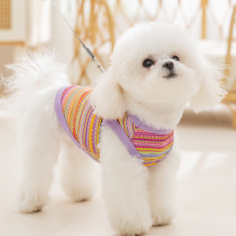 Durchbrochenes Stricktop für kleine Hunde, Sommer