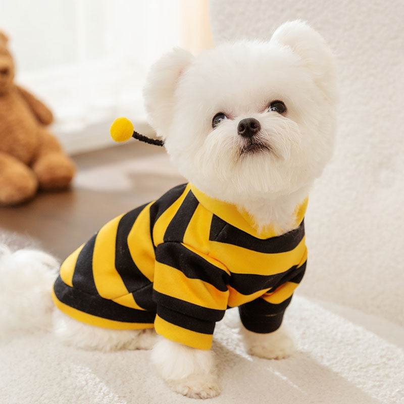 Sweatshirt für Hunde und Katzen mit Bienenmotiv