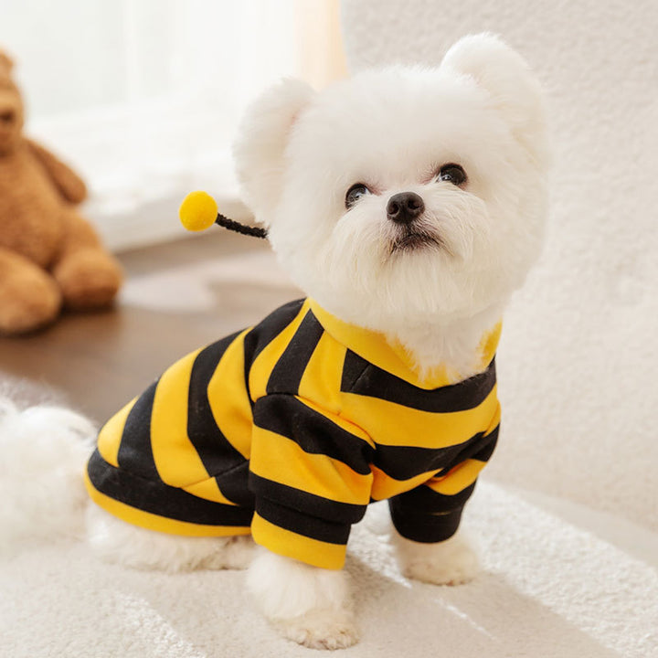 Sweatshirt für Hunde und Katzen mit Bienenmotiv