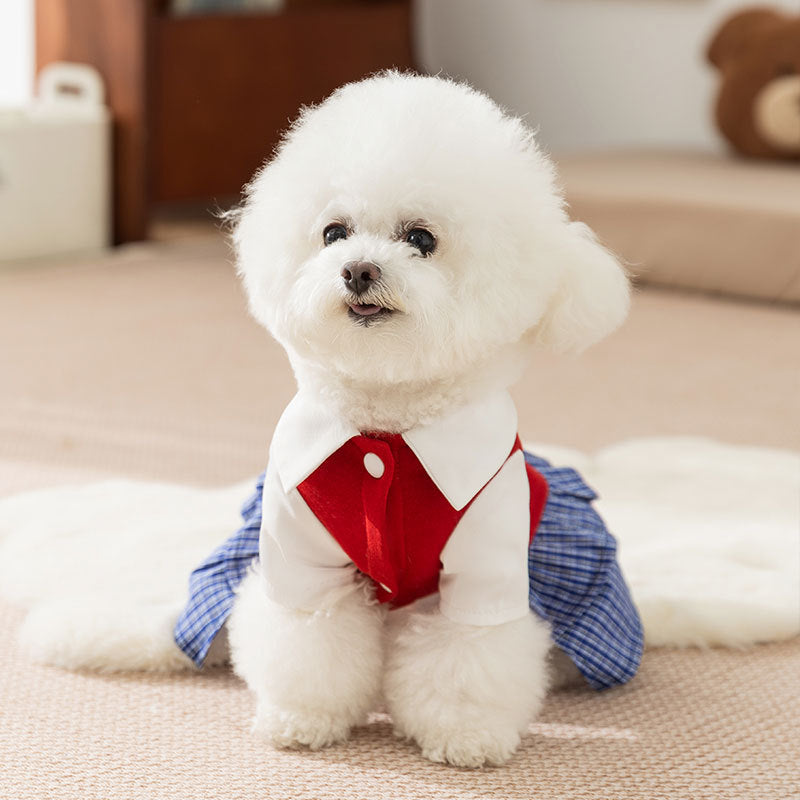 Kariertes Kleid für kleine Hunde – Herbst und Winter