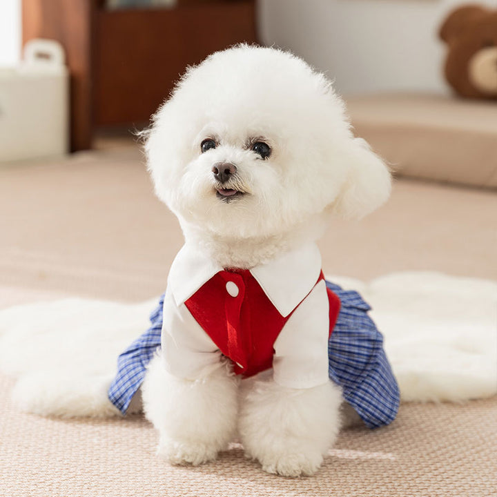 Kariertes Kleid für kleine Hunde – Herbst und Winter