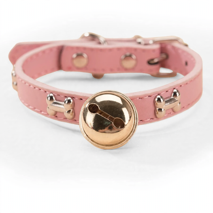 Halsband für mittlere und große Hunde mit Leinenbefestigung