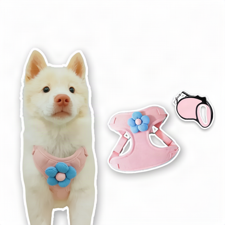 Hundegeschirr aus Stoff mit Leine, XS bis XL