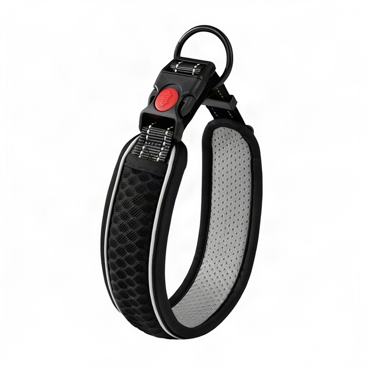 Hundehalsband aus Polypropylen