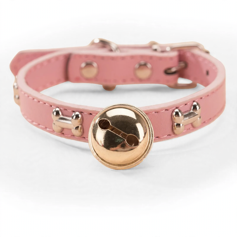 Verstärktes Halsband mit Nackenschutz für große Hunde