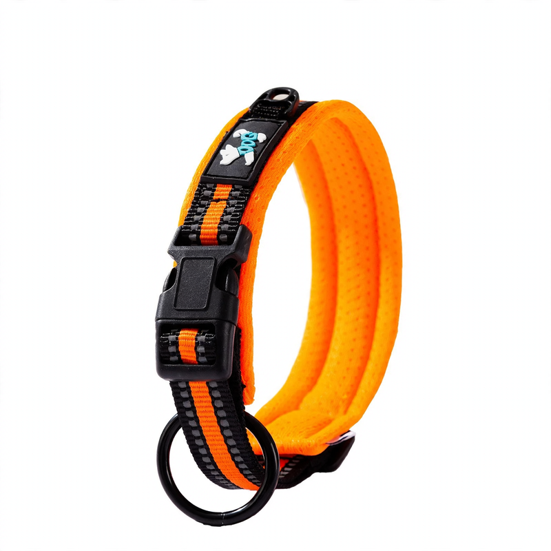 Nylon-Halsband für mittlere und große Hunde