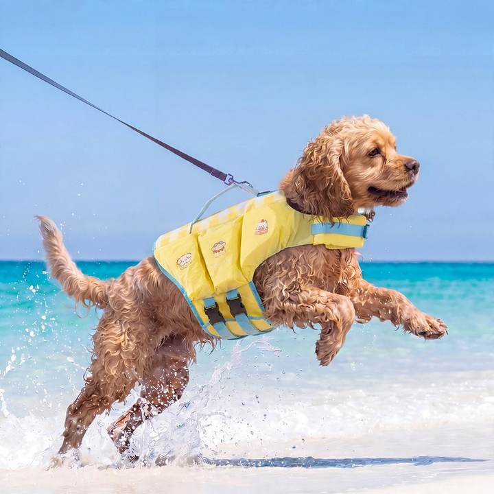 Schwimmweste für Hunde, Sommer, verschiedene Größen