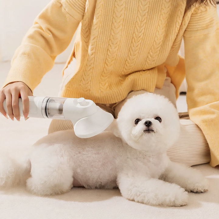 Haarbürste mit Saugfunktion für kleine Hunde