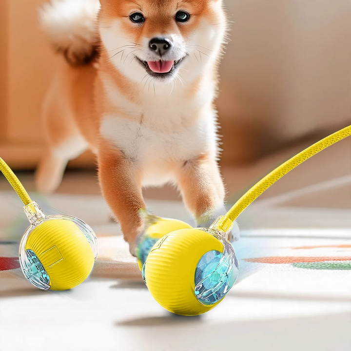 Interaktiver Springball für Katzen mit Aufladung