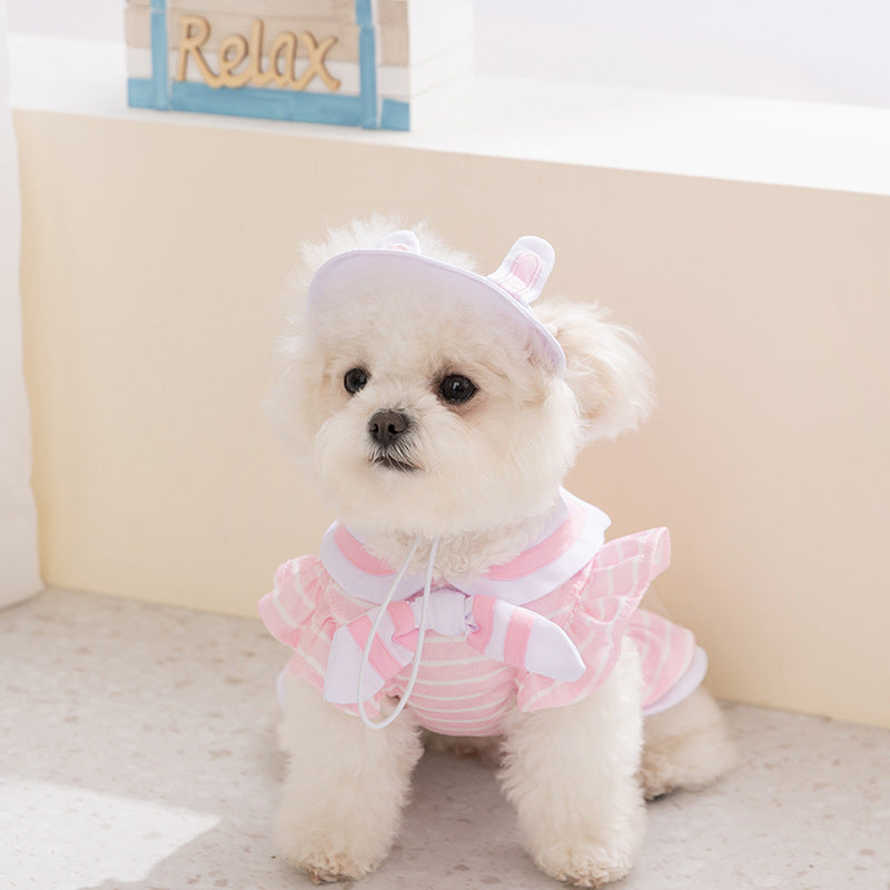 Hundekleid für kleine Hunde, Sommer, 2-teilig