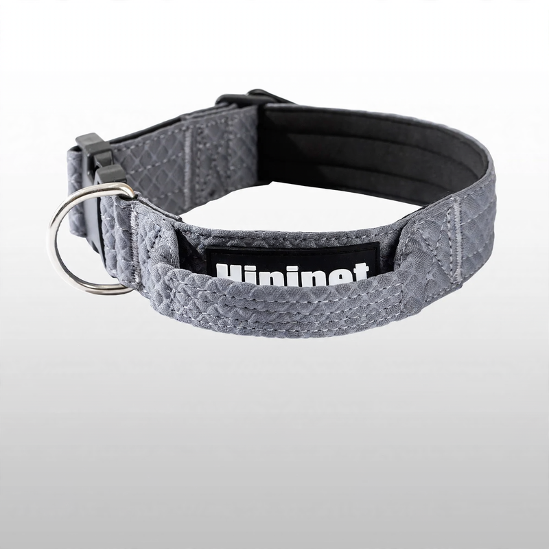 Halsband für mittlere und große Hunde mit Leinenbefestigung