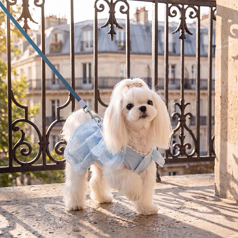 Prinzessin-Kleid für kleine Hunde, Sommer