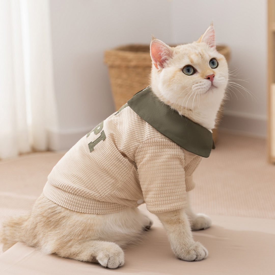 Hunde-Winterjacke, Cord, Umlegekragen, zwei Beine
