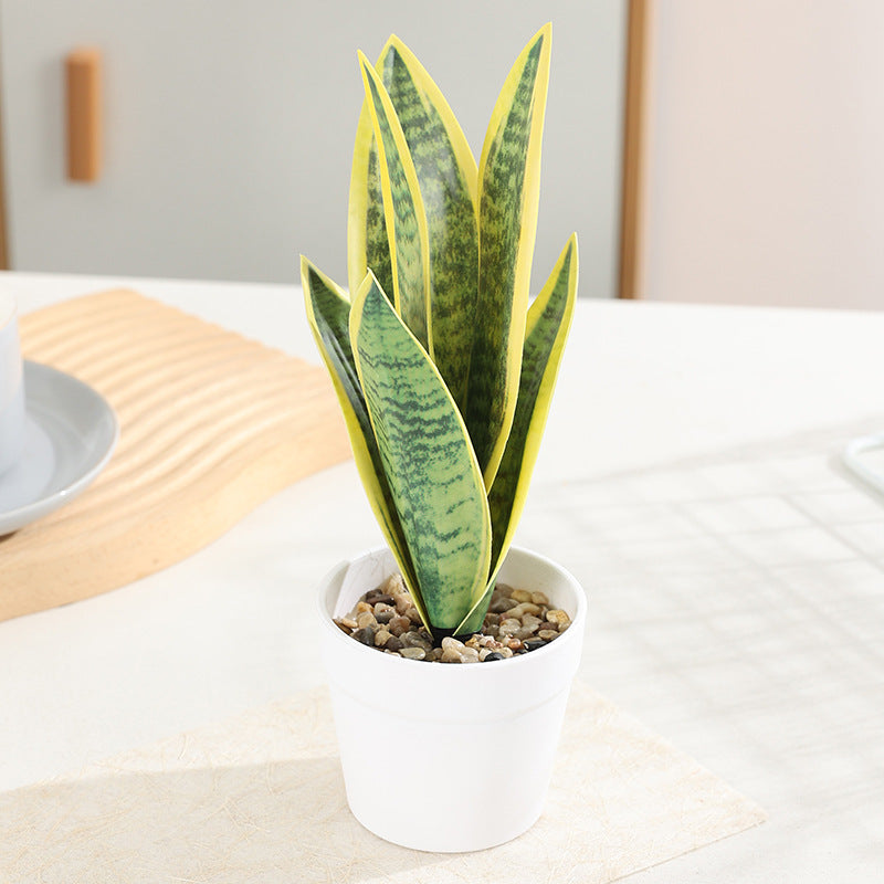 Kunstpflanze Sansevieria, 50 cm, PE