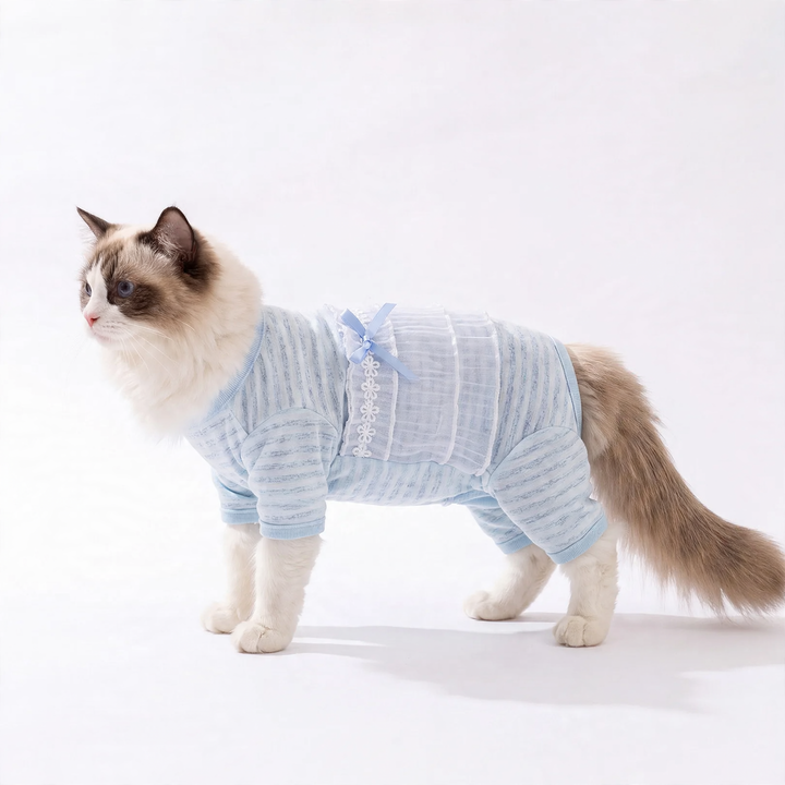 Katzen-Bauchschutz, dünn, vier Beine, Sommer