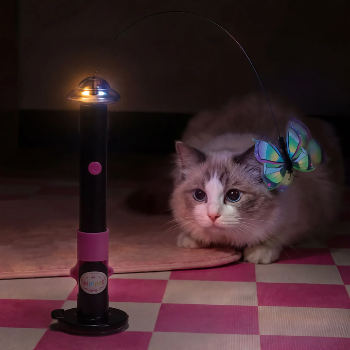 Elektrisches Katzenspielzeug mit rotierender Schmetterling, aufladbar