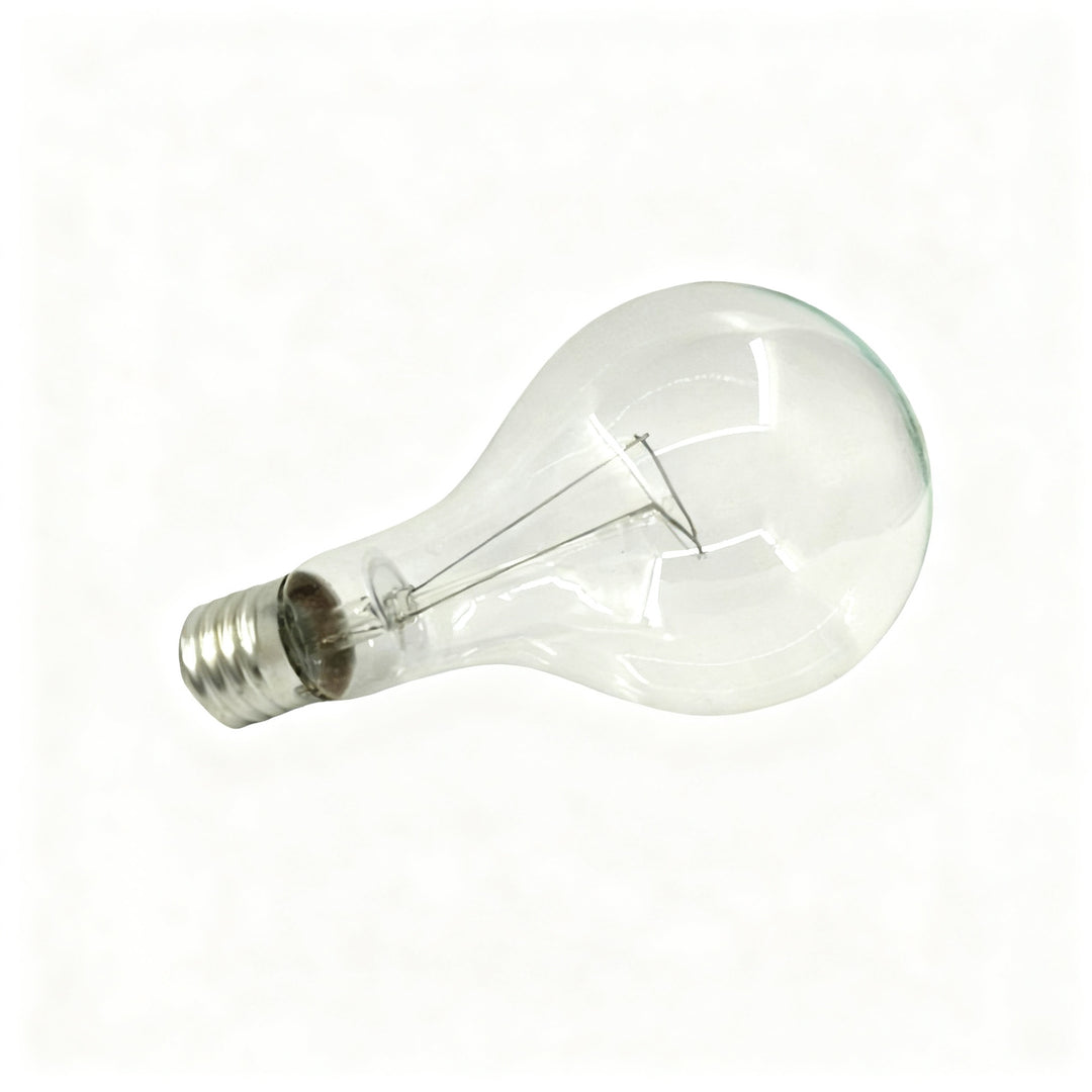 Glühlampe E40 Schraubsockel 110V/220V