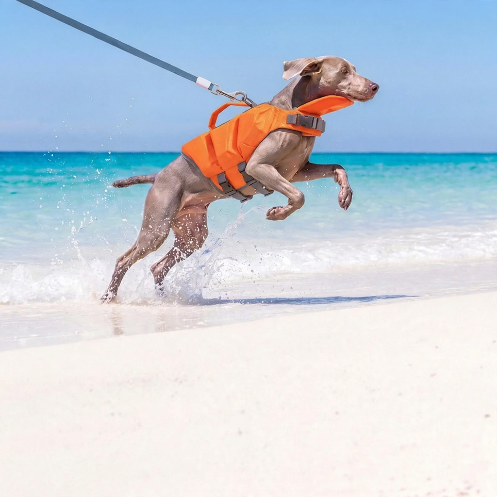 Schwimmweste für Hunde, Sommer, verschiedene Größen