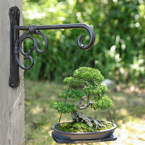Wandhaken aus Gusseisen, amerikanischer Stil