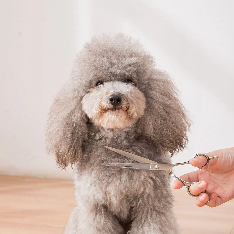 Edelstahl-Scherensatz für Hundefrisuren