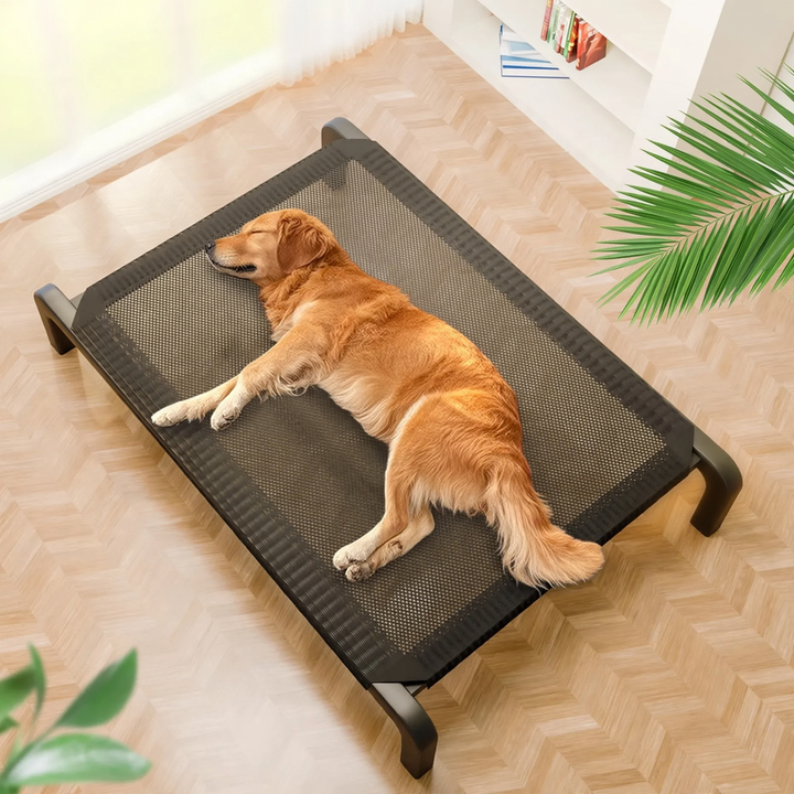 Hundebett mit Stahlrahmen, atmungsaktiv, ganzjährig