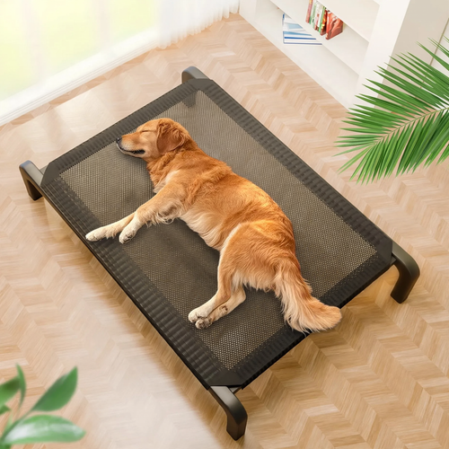 Hundebett mit Stahlrahmen, atmungsaktiv, ganzjährig