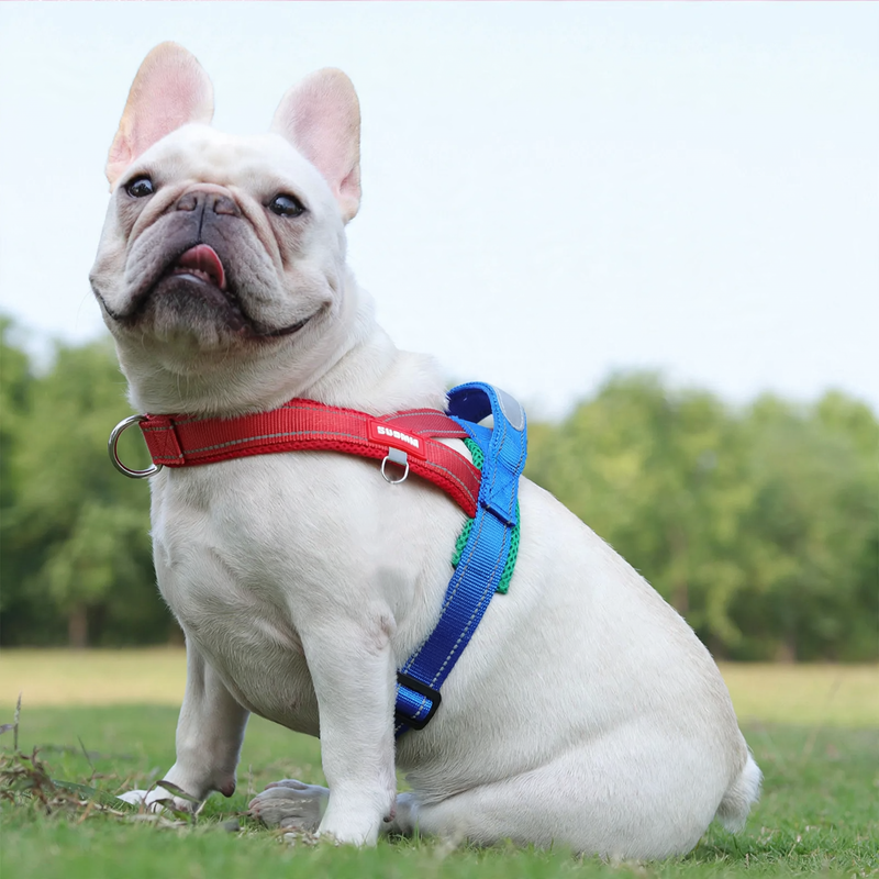 Nylon-Brustgeschirr für kleine Hunde, mehrere Größen