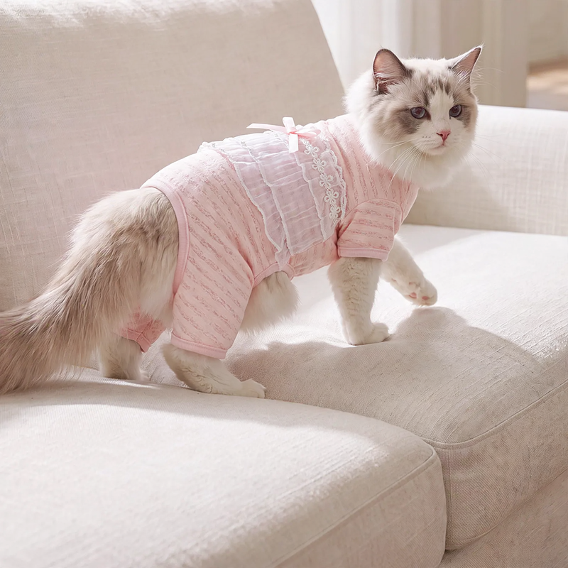 Katzen-Bauchschutz, dünn, vier Beine, Sommer