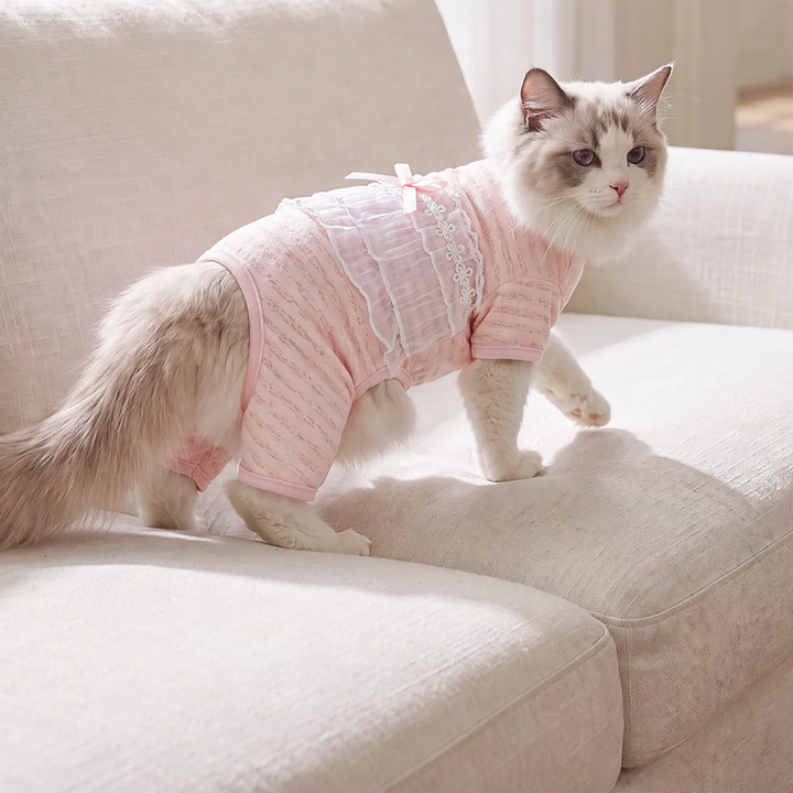 Katzen-Bauchschutz, dünn, vier Beine, Sommer