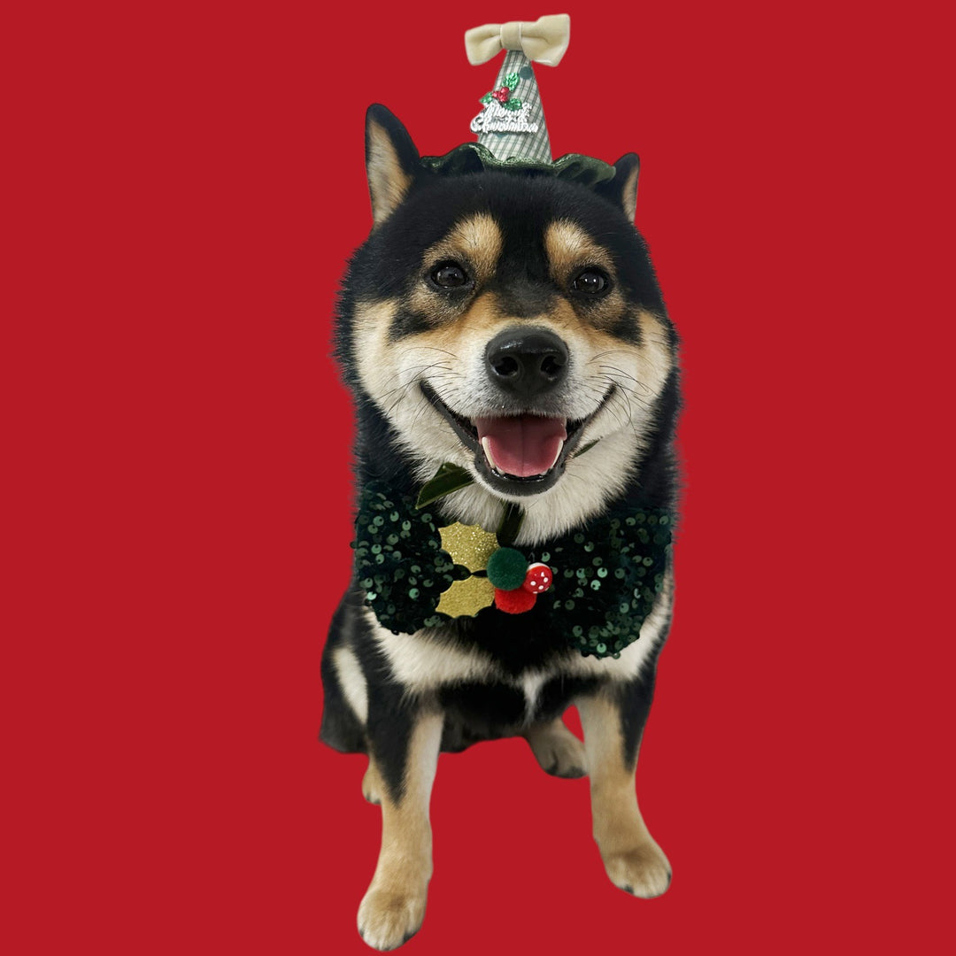 Weihnachtsschmuck für Katzen und Hunde