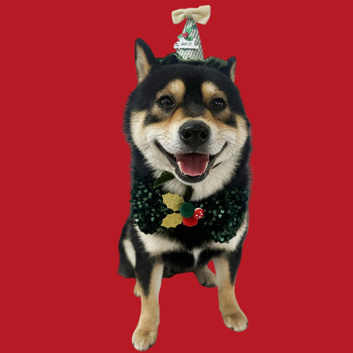 Weihnachtsschmuck für Katzen und Hunde