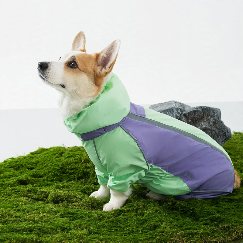 Regenmantel für Hunde, vierbeinig, wasserdicht