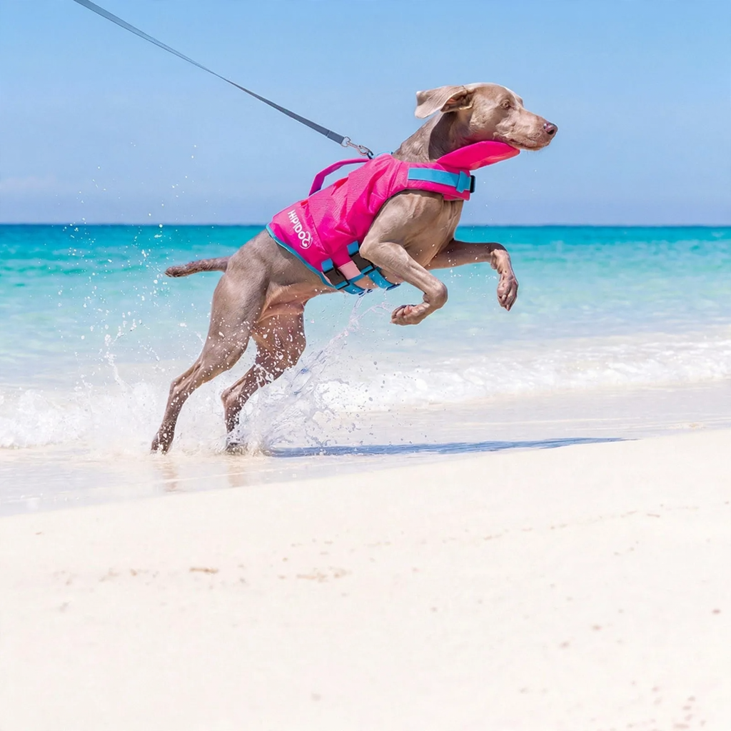 Schwimmweste für Hunde, Sommer, verschiedene Größen