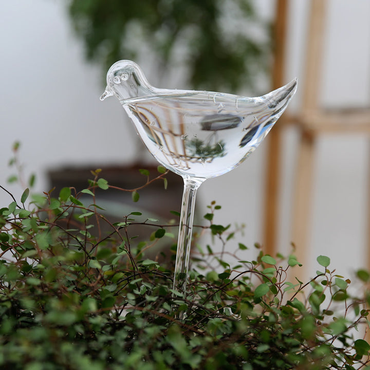 Glastränker für Pflanzen, verschiedene Formen
