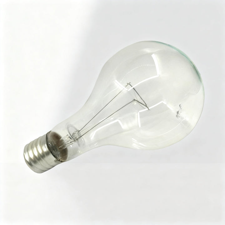 Glühlampe E40 Schraubsockel 110V/220V