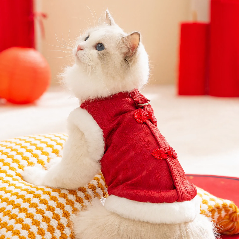 Chinesische Weste für Katzen, Winterstil