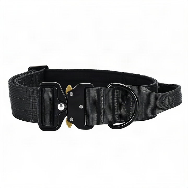 Taktisches Hundehalsband mit Griff