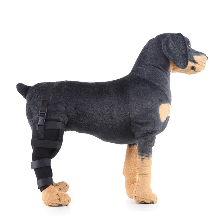 Hinterbein-Stützmanschette für Hunde, ganzjährig