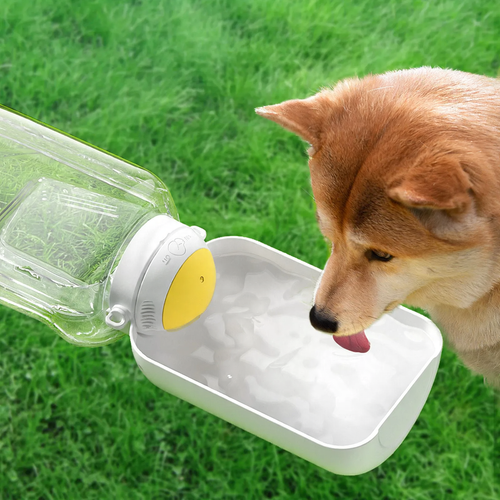 Tragbarer Wasserspender für Hunde, 1000 ml