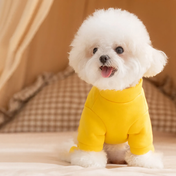 Hunde-Sweatshirt, vier Beine, Herbst/Winter, Fleece