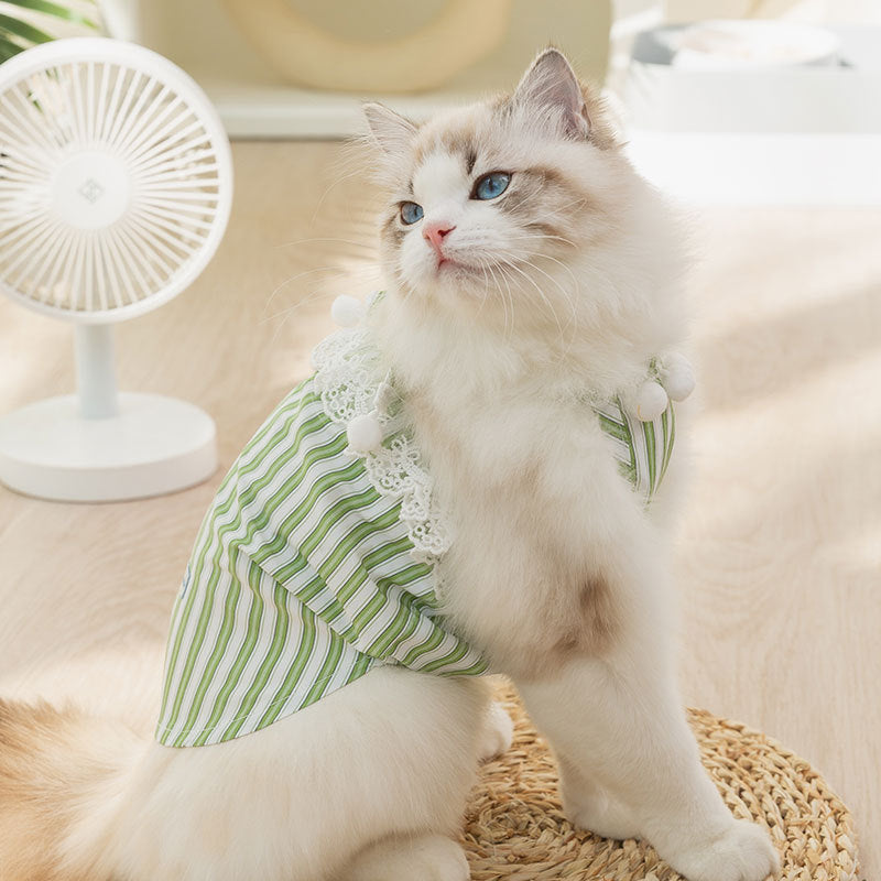 Sommerkleid für Hunde und Katzen, Träger