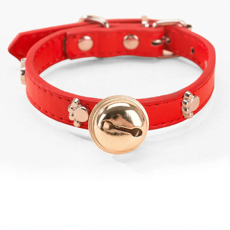 Verstärktes Halsband mit Nackenschutz für große Hunde