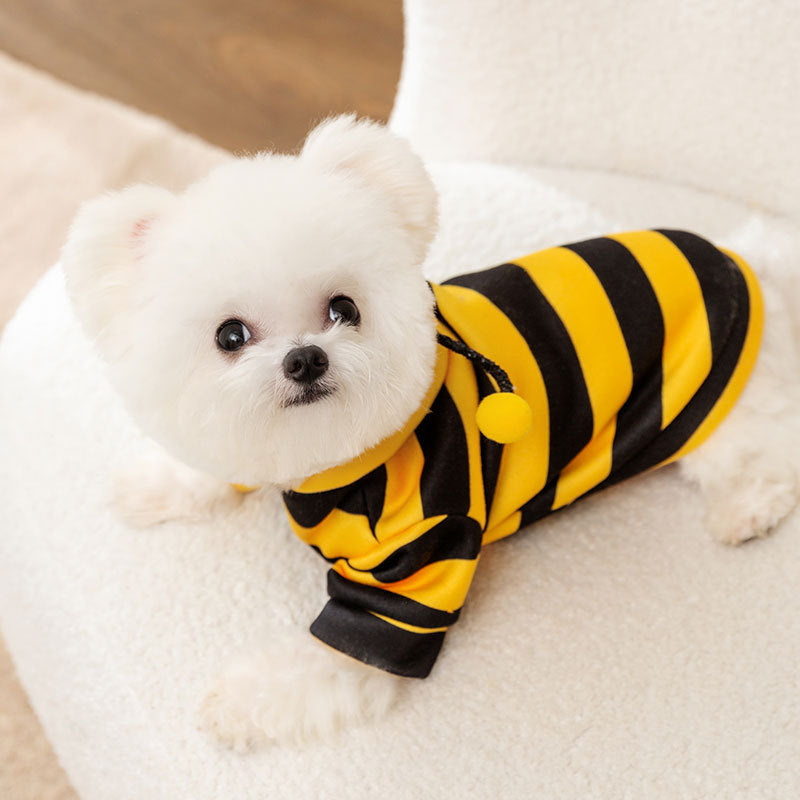 Sweatshirt für Hunde und Katzen mit Bienenmotiv