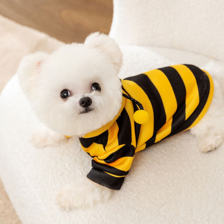 Sweatshirt für Hunde und Katzen mit Bienenmotiv