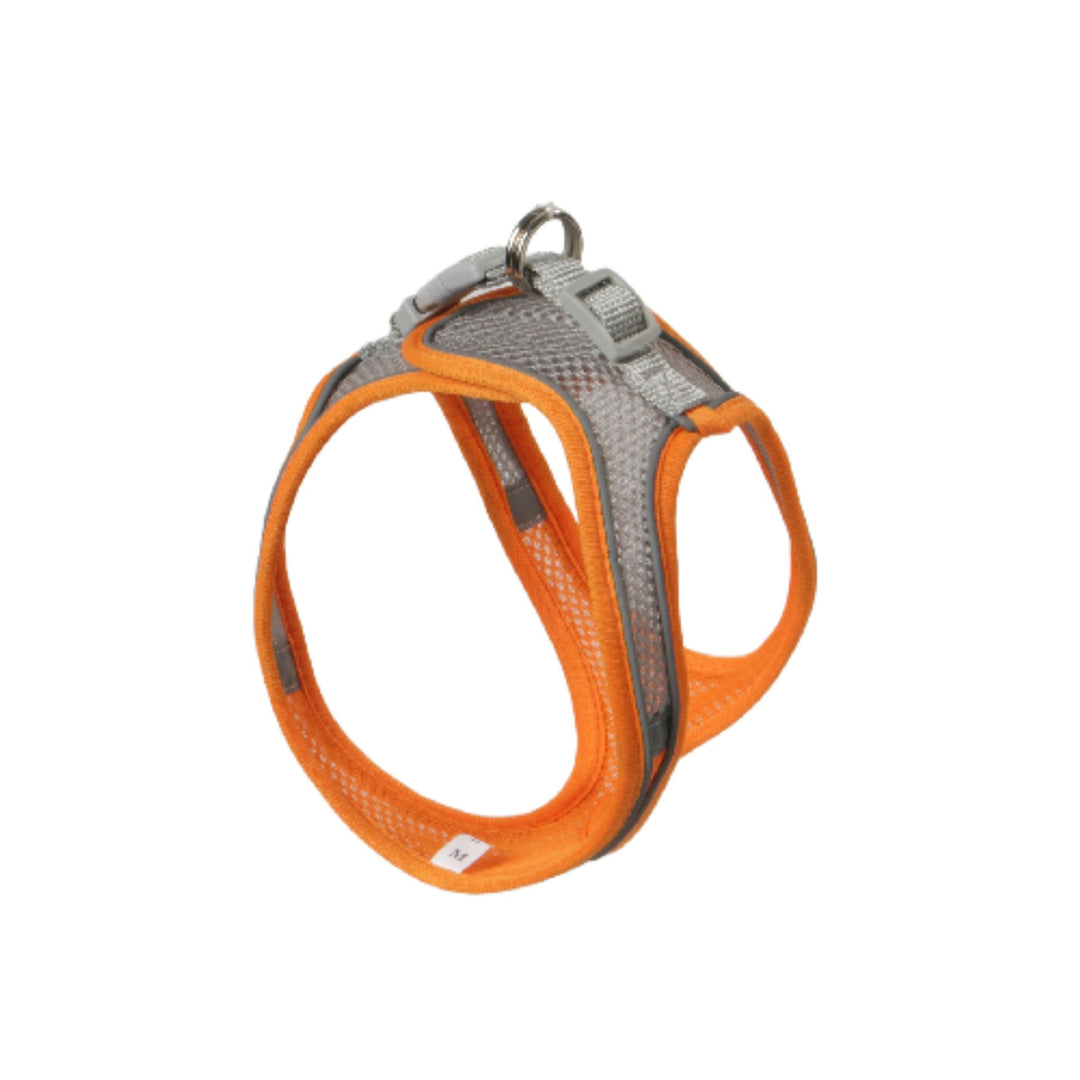 Hundegeschirr aus Stoff mit Leine, XS bis XL
