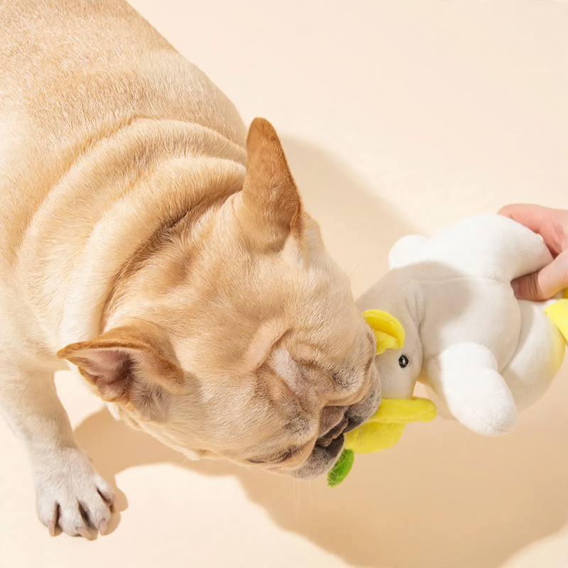 Plüsch-Spielzeug mit Quietscher für Hunde und Katzen