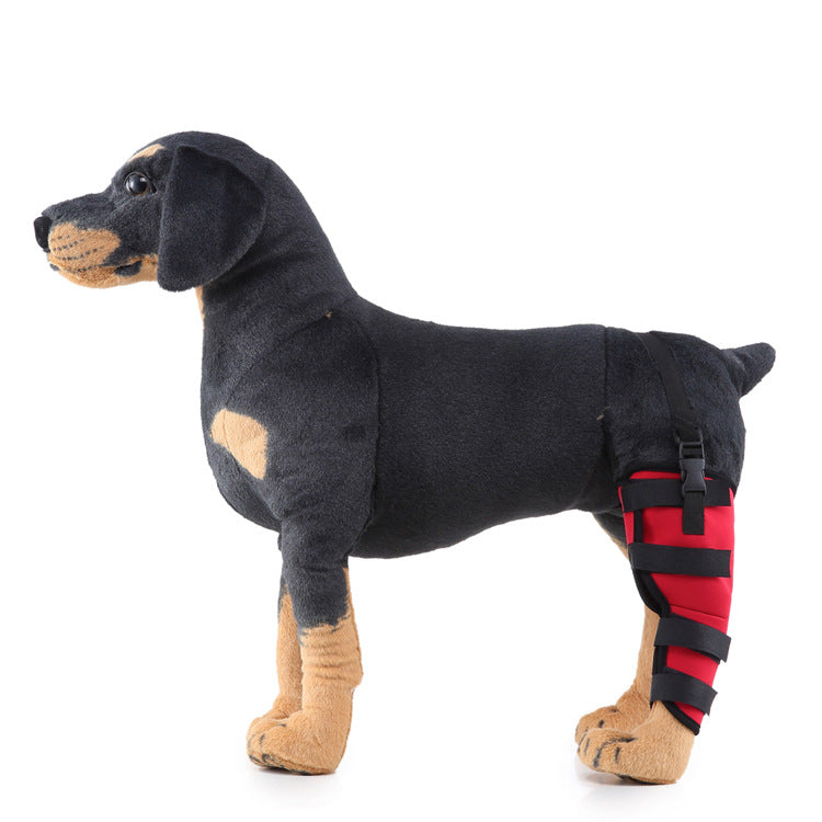 Hinterbein-Stützmanschette für Hunde, ganzjährig