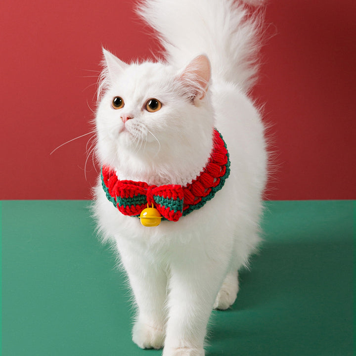 Handgestricktes Halsband für Katzen