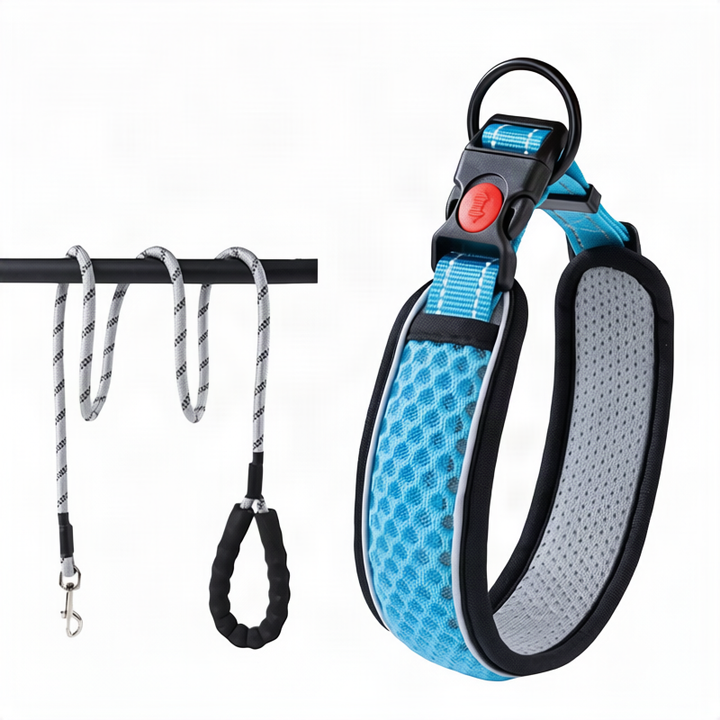 Hundehalsband aus Polypropylen